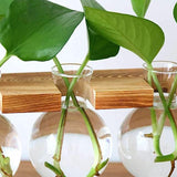 Wooden Stand Hanging Glass Plant Terrarium Container Hydroponics Pot Vase Decor