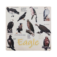 Set of 6  Funny Bird Pun Coasters Square Drink Cup Pad for Home Kitchen Bar Decor