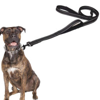 Reflective Dog Leash with Padded Handle Outdoor Dog Training Chain Dual Handle Lead Double Handle Lead Black