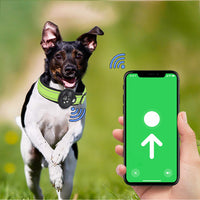 Pet Dog Collar Reflective Pet Collar Pet Dog Accessories Green