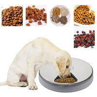 Automatic Pet Feeder 6 Meal Timed Pet Feeder for Cats Small Dogs