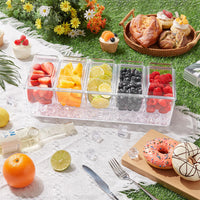 Ice Cooled Condiment Serving Container Plastic Chilled Garnish Tray Food Caddy