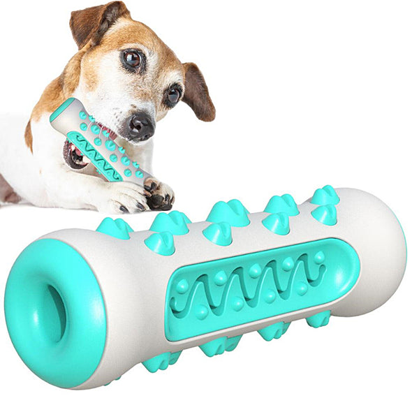 Dog Bone Chew Toy Teeth Cleaning Training Dog Toy Blue