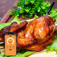 Smart Bluetooth Wireless Food Meat Steak Thermometer Dual Sensors Probe for BBQ Oven Grills