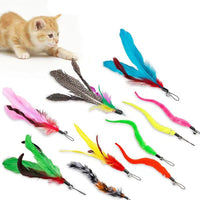 Cat Fishing Pole Toy Set Retractable Cat Wand and Feather Toys Interactive Kitten Toys