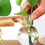 Wooden Stand Hanging Glass Plant Terrarium Container Hydroponics Pot Vase Decor