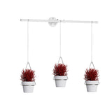 Detachable Triflora Hanging Planter for Window Garden Indoor Outdoor Gold