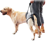 Dog Lift Harness Adjustable Dog Support Harness Back Legs Dog Sling for Olderly Injured Disabled Dogs