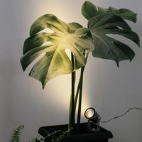 Dimmable USB LED Plant Spot Lights Indoor Plant Lamp Indoor Accent Light for Plants