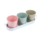 Set of 3Pcs Herb Garden Planter Set Metal Plant Pots with Tray