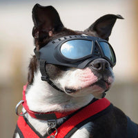 Small Dog Goggles Sunglasses Outdoor Protective Eyewear - Silver Lenses