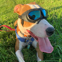 Small Dog Goggles Sunglasses Outdoor Protective Eyewear - Blue Lenses