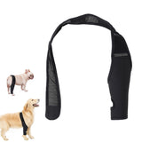 Pet Dog Knee Support Brace Leg Hock Front Back Protector Compression Wrap