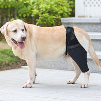 Pet Dog Knee Support Brace Leg Hock Front Back Protector Compression Wrap