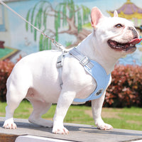 Pet Dog Harness and Leash Set Escape Proof Vest Harnesses Blue