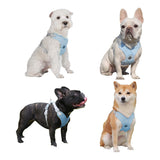 Pet Dog Harness and Leash Set Escape Proof Vest Harnesses Blue