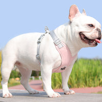 Pet Dog Harness and Leash Set Escape Proof Vest Harnesses Pink