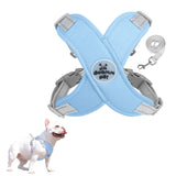 Pet Dog Harness and Leash Set Escape Proof Vest Harnesses Blue