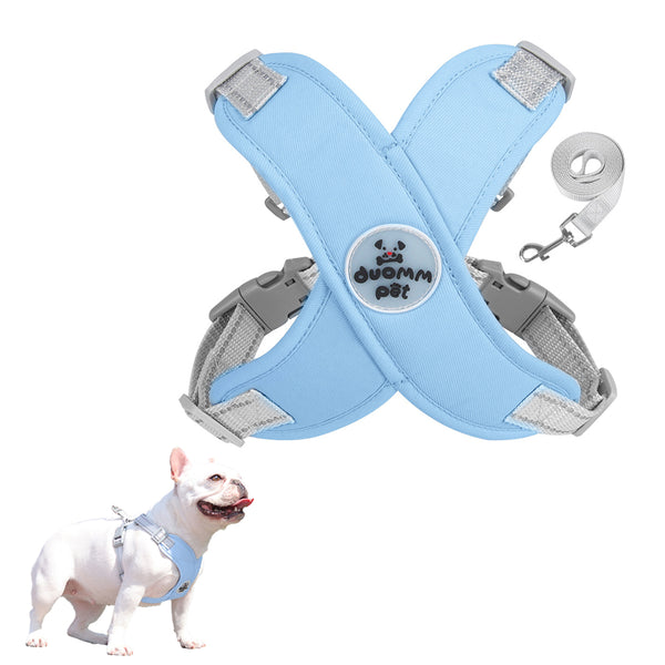 Pet Dog Harness and Leash Set Escape Proof Vest Harnesses Blue