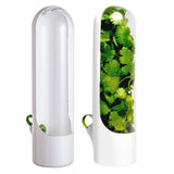 Kitchen Fresh Herb Saver Vegetables Keeper for Refrigerator Herbs Storage Container