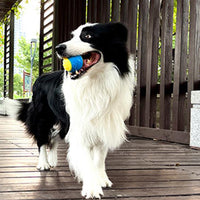 4Pcs Squeaky Dog Balls High Bouncy Ball Toys for Interactive Playing Pet Chew Balls