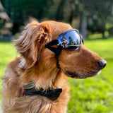 Dog Sunglasses Pet Goggles Protection Glasses Eye Wear with Adjustable Strap