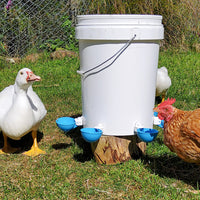 5Pcs Automatic Chicken Waterer Cups Water Feeder for Chicks Duck Goose Blue