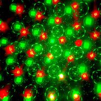 RGB Disco Ball Lights Party Lights Sound Activated Strobe Lights Christmas Decor