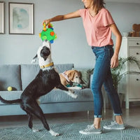 Pet Snuffle Ball with Interactive Rope Interactive Puzzle Toys Dog Chew Toys Green