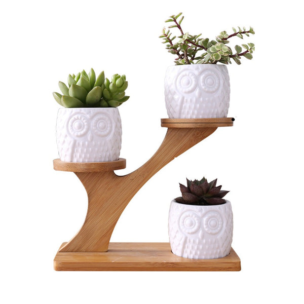 3Pcs Succulent Pots with 3 Tier Bamboo Saucers Stand Holder Ceramic Plant Pot Flower Pot Home Decoration Style 1