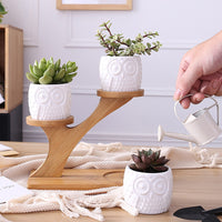 3Pcs Succulent Pots with 3 Tier Bamboo Saucers Stand Holder Ceramic Plant Pot Flower Pot Home Decoration Style 1