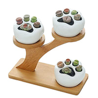 3Pcs Succulent Pots with 3 Tier Bamboo Saucers Stand Holder Ceramic Plant Pot Flower Pot Home Decoration Style 2