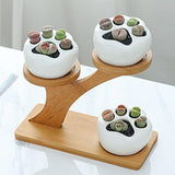 3Pcs Succulent Pots with 3 Tier Bamboo Saucers Stand Holder Ceramic Plant Pot Flower Pot Home Decoration Style 2