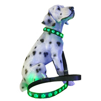 Luminous Dog Collar and Leash USB Rechargeable LED Pet Dog Collar for Night Security