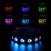 Luminous Dog Collar and Leash USB Rechargeable LED Pet Dog Collar for Night Security