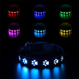 Luminous Dog Collar and Leash USB Rechargeable LED Pet Dog Collar for Night Security