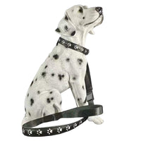 Luminous Dog Collar and Leash USB Rechargeable LED Pet Dog Collar for Night Security