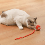 Interactive Cat Toy Ball Fast Rolling Chirping Motion Activate Cat Toy Red