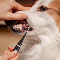 Electric Plaque Remover for Pet Teeth Oral Scaler Dogs Teeth Care Cleaner