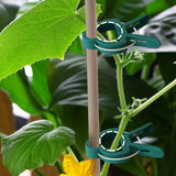 Set of 40Pcs Plant Support Clips Garden Plant Clip for Vines Grow Upright Climbing Supporting Stems