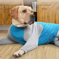 Dog After Surgery Onesie Pet Surgical Recovery Suit Anti Licking Bodysuit for Female Male Dog