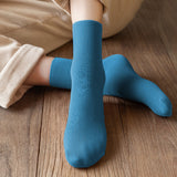 3 Pairs of Warm Plush Thermal Socks Thick Winter Snow Boot Socks for Women Blue