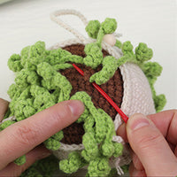 Crochet Kit for Beginners Hanging Potted Plants Crochet Starter Kit Style 3