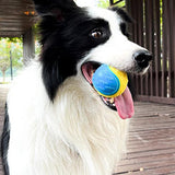 4Pcs Squeaky Dog Balls High Bouncy Ball Toys for Interactive Playing Pet Chew Balls