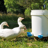 5Pcs Automatic Chicken Waterer Cups Water Feeder for Chicks Duck Goose Blue