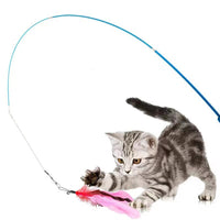 Cat Fishing Pole Toy Set Retractable Cat Wand and Feather Toys Interactive Kitten Toys