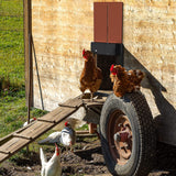 Automatic Chicken Coop Door Opener Poultry Gate Light Sensing Chicken House Door Brown