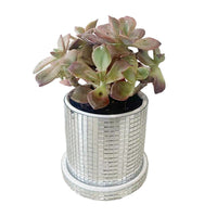 Disco Ball Planter Pot Mirror Disco Cylindrical Vase Modern Ceramic Planter Pot