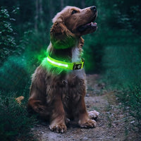 Luminous LED Pet  Dog Collar Light-up USB Rechargeable Dog Collar Green