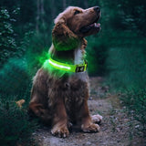 Luminous LED Pet  Dog Collar Light-up USB Rechargeable Dog Collar Green